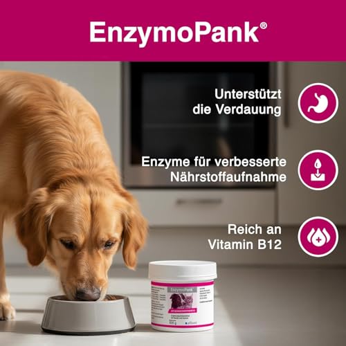 alfavet EnzymoPank 100 g – Pulver zur Unterstützung der Verdauung – Enzyme aus Schweinepankreas - Ergänzungsfuttermittel für Hunde & Katzen