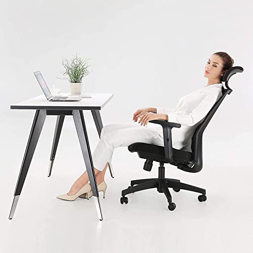 Image of SIHOO Ergonomic Office Chair, Mesh Swivel Computer Chair with Adjustable Lumbar Support and Armrests, Breathable Mesh Back(Black)