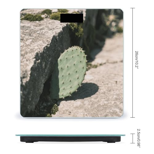 Báscula de baño digital con pantalla LED y vidrio templado miniatura 2