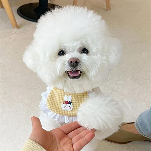 Colliers dog mignon JINGYAN accessoires pour petits chiens et chat
