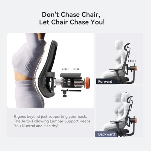 Image of Newtral Ergonomic Office Chair, Ergonomic Mesh High Back Desk Chair, Computer Task Chair, with Footrest, Adaptive Lumbar Support