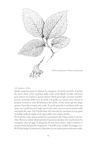 Fiori Selvatici: Escursioni Botaniche E Contemplazioni Della Natura - 4