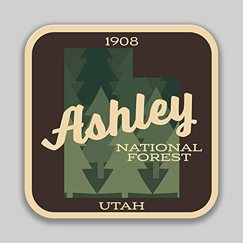 JMM Industries Ashley National Forest Utah Vinyl Decal Sticker Car Window Bumper 2-Pack 4-Inches 4-Inches Premium Quality UV-Protective Laminate PDS1361