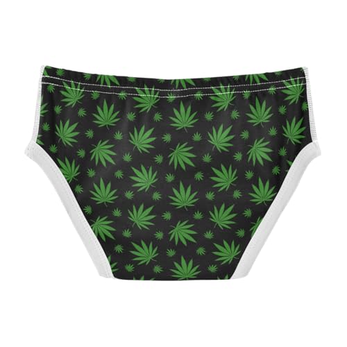 Boys' Exclusive Briefs Toddler Underwear 95% Combed Cotton Boxerbriefs 2T Green Leaf Pattern 312