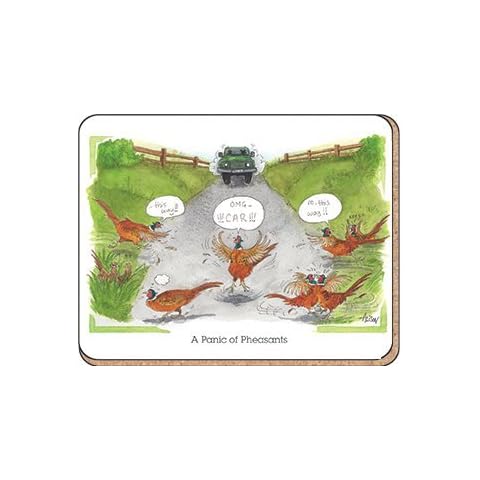 Coaster: A panic of pheasants Cover