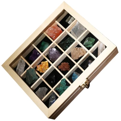 Spécimens de Pierres Naturelles en Boîte pour Matériel Didactique Géologie et École