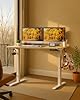 Raplink Bureau Assis Debout, Bureau Réglable en Hauteur 100 x 60 cm, Mémoire Préréglée avec 2 Hauteurs, Montage Facile, pour Bureau à Domicile, Études et Jeux, Bois Naturel