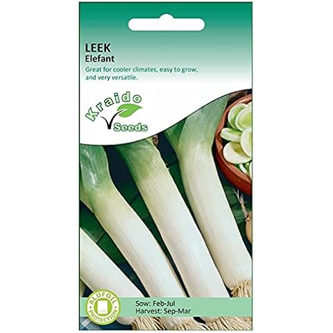 Kraido Leek Seeds Elefant (Allium Porum) 300 Seeds, with Long sow by Date November 2024, Grow Your Own Vegetable, Perfect for Outdoor Growing in Garden or Raised Beds Cover