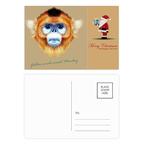 Cartes postales Golden Snub-Nosed singe animal Père Noël de collection