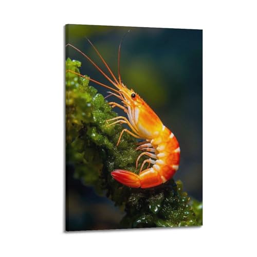 Poster crevettes blanches pour réveiller la décoration d'un salon terne