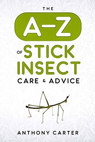 The A-Z of Stick Insect Care & Advice