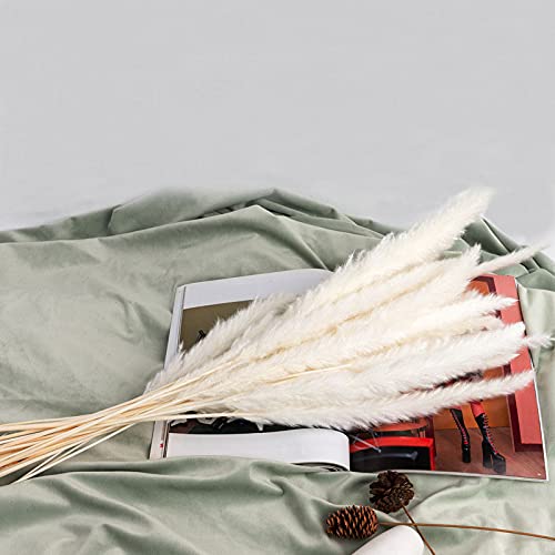 Youmeer Pampas seca natural, grama, palha, flor, ramo de flores secas, buquê de comunhão, decoração