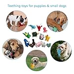 LEGEND SANDY Squeaky Plush Dog Toy Pack for Puppy, Small Stuffed Puppy Chew Toys 12 Dog Toys Bulk with Squeakers, Cute Soft Pet Toy for Small Medium Size Dogs - Image 5