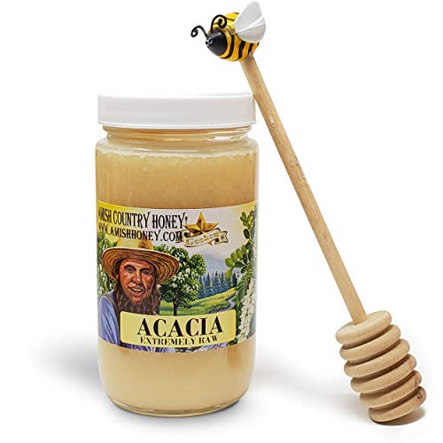 Goshen Amish Country Honey Extremely Raw ACACIA Honey - 100% Natural Domestic Honey with Health Benefits - Unfiltered Unprocessed Unheated - OU Kosher Certified | 454 G GlassJar