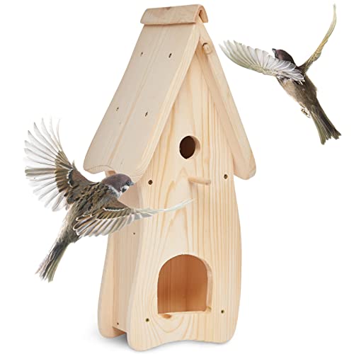 Woid Herz Nistkasten con comedero para pájaros (N1) Pajarera para tiñón de col, hierro azulado, pajarita de campo y papilla de luto Cover