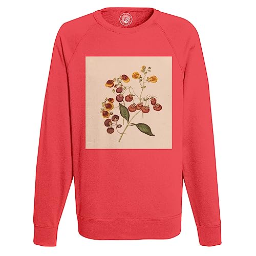 Sweat shirt homme fleurs exotiques et illustration botanique ancienne pour l'automne
