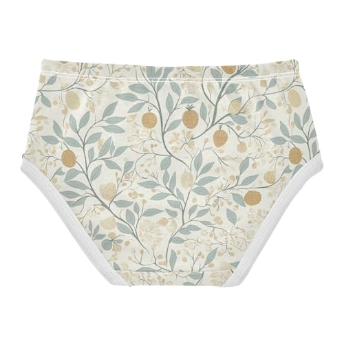 ZZKKO Farmhouse Fruit Floral Leaves Girls Underwear Toddler Panties for Girls Comfort Brief Size 2-8T2