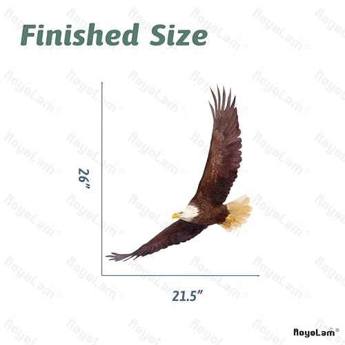 RoyoLam Flying Bald Eagle Wall Decal Bird of Prey Animal Wall Sticker by RoyoLam - Used condition - Image 5