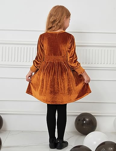 CHILDRENSTAR Girls Velvet Dress Smocked Waist Long Sleeve Knee-Length Fall Winter Dress for Kids4