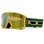 Sage Kotsenburg Signature Strap/Prizm Sage Gold Iridium Lens