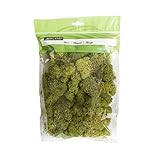 Create the perfect ambiance with preserved reindeer moss. Use it in your arrangements or in crafting seasonal and everyday décor projects. This moss is softened and preserved, making it easy to work with for any floral or craft project. Use it in sil...