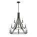 Z-Lite 2010-15BRZ 15 Light Chandelier VeronaCollection