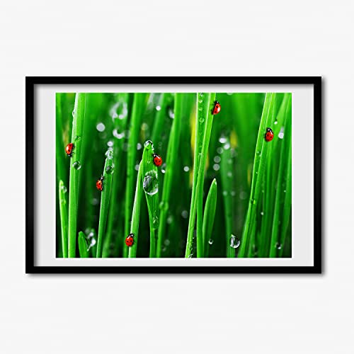 Cadre en bois Tulup 60x40 | Tableau coccinelles sur l'herbe pour chambre zen
