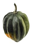 Acorn Squash, Locally Grown
