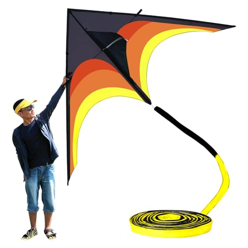 Cerf-volant géant Delta pour la plage et les activités de plein air en famille