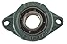 Flange Bearing, 2-Bolt, Ball, 1" Bore