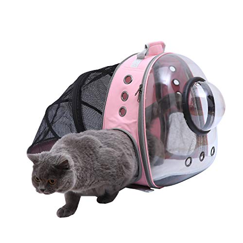 cat backpack reddit