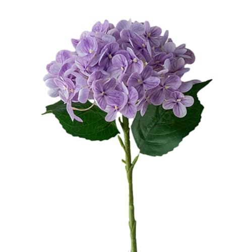 AȃAWTC̉ |  | tFCNu[Pt[ | tFCNt[ tFCNAWTCt[Zbg AȃAWTC̉ԃu[P EFfBOp[eB[ z[fR[V, QPSZWTOW5Q81TTBT