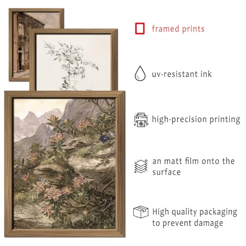 Anerza 16 Pcs Framed Vintage Wall Art Decor thumb #2