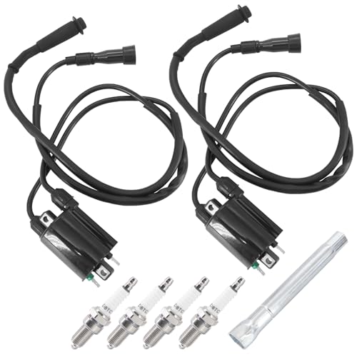 Tektall Ignition Coil Pack + Spark Plug + Spark Plug Wrench + Cap For Shadow VLX 600 VT600C 1988-2007, Shadow VLX 600 VT600CD Deluxe 1993-2007. Replace OE# 30510-MM8-003 30701-MF5-000, Set of 2