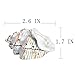 H&D HYALINE & DORA Metal Glass Small Seashell Figurine Collectible Ring Jewelry Holder Trinket Box(conch)