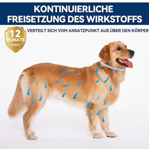 Zeckenhalsband für Hunde Verstellbares | Zeckenschutz bis zu 12 Monate | 100% Natürliche Ätherische Öle Flohhalsband Hunde| Geeignet für Große, Mittelgroße und Kleine Hunde | Wasserfest (65cm)