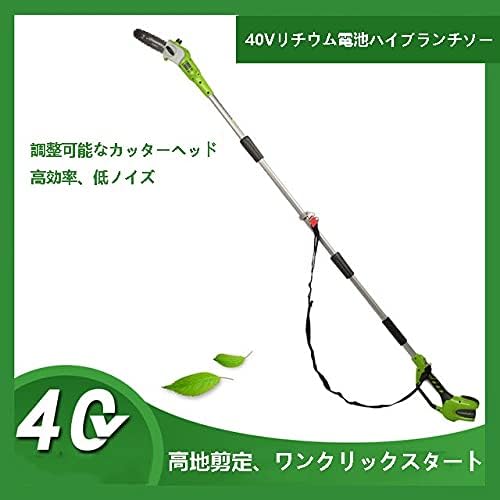 売買 高枝切り電動チェーンソー 40v高枝剪定機リチウム電池高枝鋸 電気チェーンソーコードレスチェーンソー 家庭用屋外伐採と剪定ハイパワー ミニチェンソー チェーンソー 木の枝刈り用剪定ばさみチェーンソーガーデニング 切除高さ5メートル のこぎり径cm