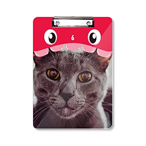 Dossier à tête plate ultra-rigide motif chat gris de format A4