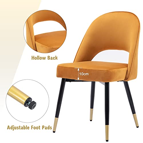 Miniatura 4 de Chairus Juego 2 De Sillas De Comedor Terciopelo Sillas De Cocina Con Patas De Metal, Sillas De Hogar Modernas Para Restaurante Cafetería, Amarillo
