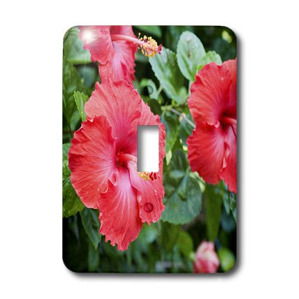 Interrupteur à bascule simple hibiscus 3dRose lsp_83396_1 pour mur blanc terne - 3