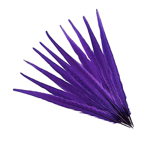 Plumas de faisán de 40-45 cm de largo, accesorios de carnaval y manualidades 2