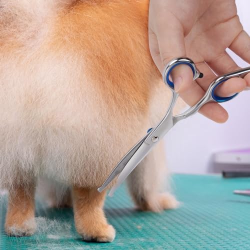 PLAYMONT Dog Grooming Scissors with Safety Round Tip, Professional Curved Scissors for Dogs & Cats, Stainless Steel & Rubber, Blue with Silver Blades - Image 8