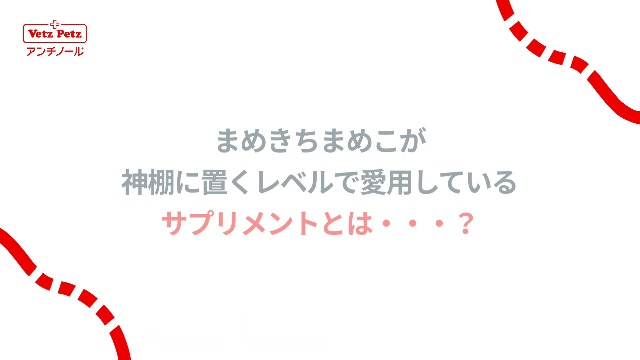 Amazon.co.jp: 【動物病院推奨】【公式】アンチノール プラス 犬