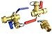 Hydro Master 3/4-Inch IPS Isolator Tankless Water Heater Service Valve Kit with Pressure Relief Valve, Clean Brass