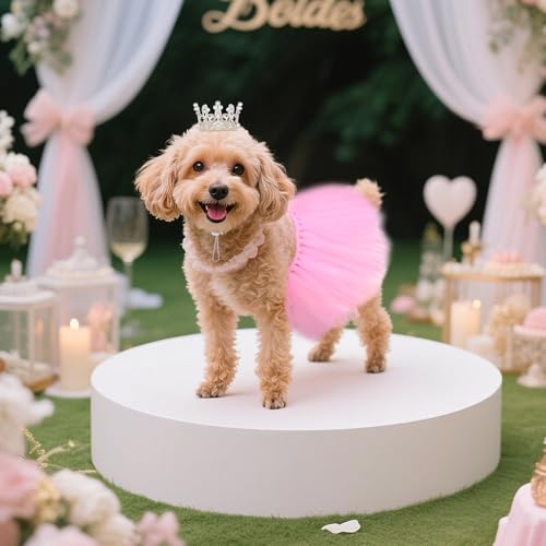 Disfraz para perro con tutu y corona de perlas miniatura 6