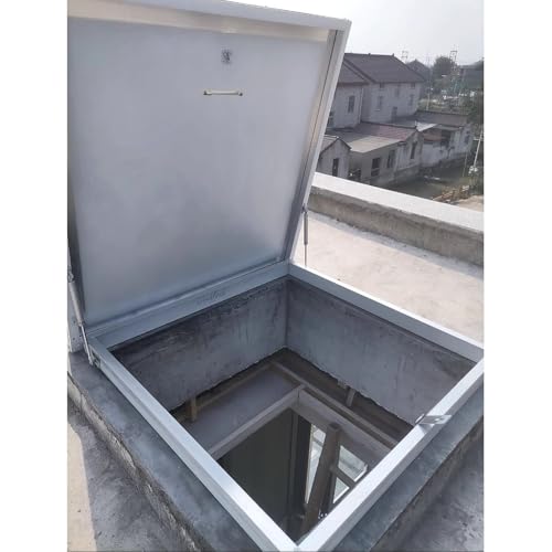 Escotilla de techo industrial con amortiguador para acceso plano 2