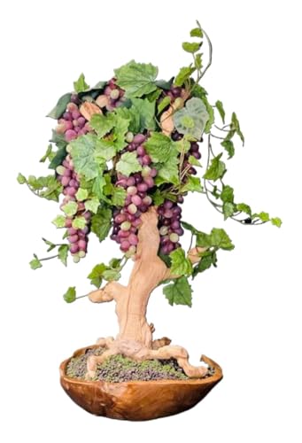 How to make grape bonsai