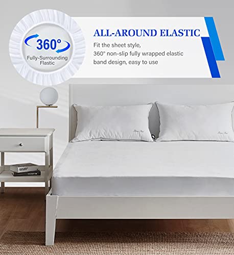 Twin XL Mattress Protector,Mattress Cover Noiseless Waterproof Soft Breathable Terry for Pets Kids Adults 39" x 80"