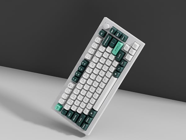Amazon.in: Buy Keychron Q1 HE Wireless Magnetic Keyboard, QMK