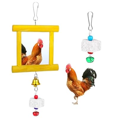 Lnngub Chicken Toys - 1pc Hanging Bell Parrot Chicken Swing Mirror + 2pcs Beak Grinding Stones for Enrichment, Perfect for Coop, Birds, Parrots, Hens, Roosters, and More